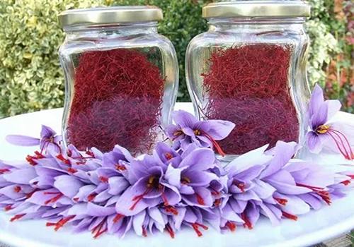 تصویر 5 از خرید و قیمت زعفران سحرخیز عمده + فروش عمده